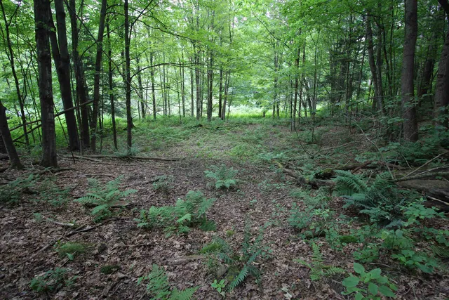 $80,000 | 360 Liberty Hill Road, Pittsfield, VT 05762