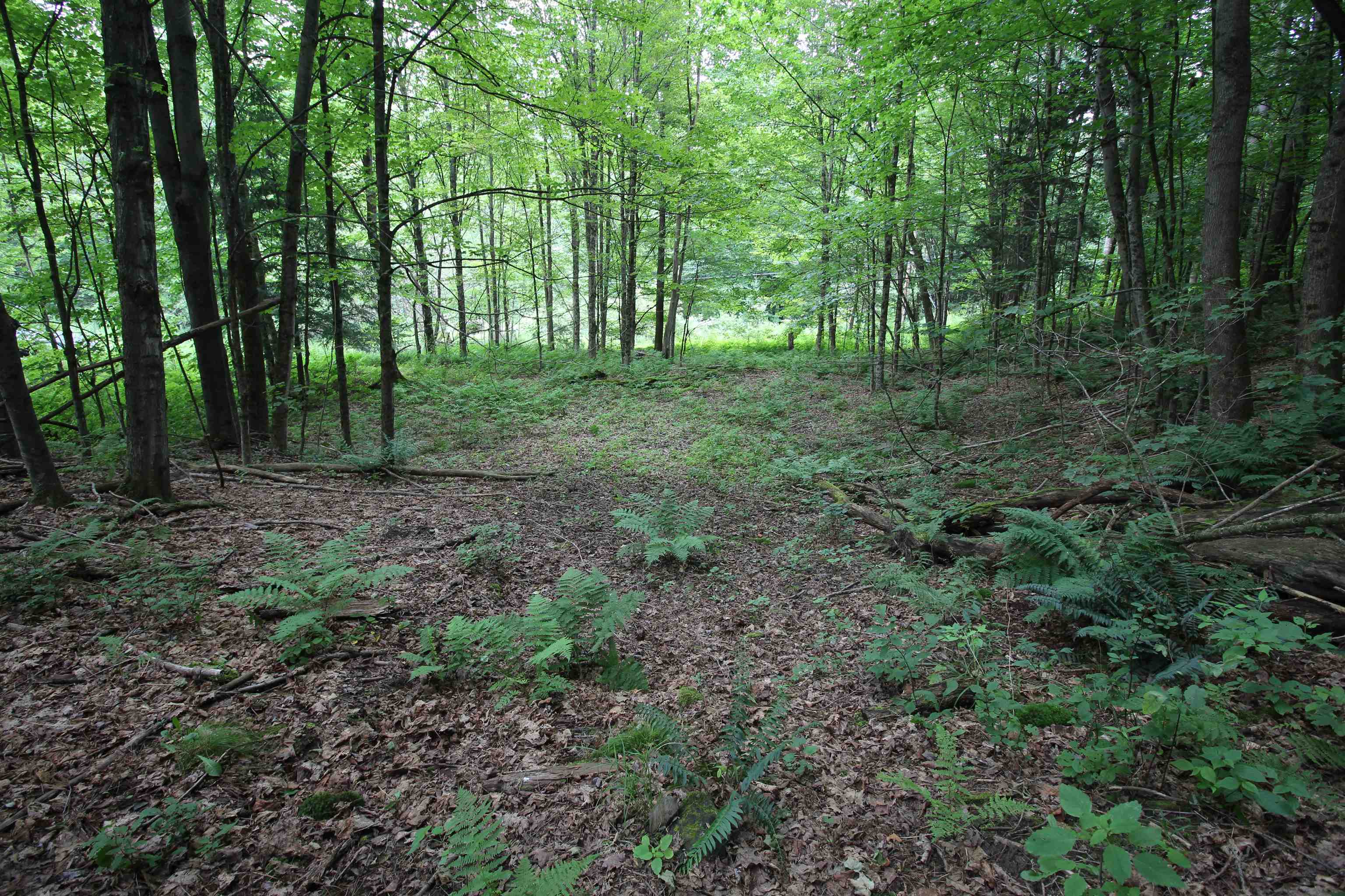 360 Liberty Hill Road Pittsfield, VT 05762 - Photo 6 of 36