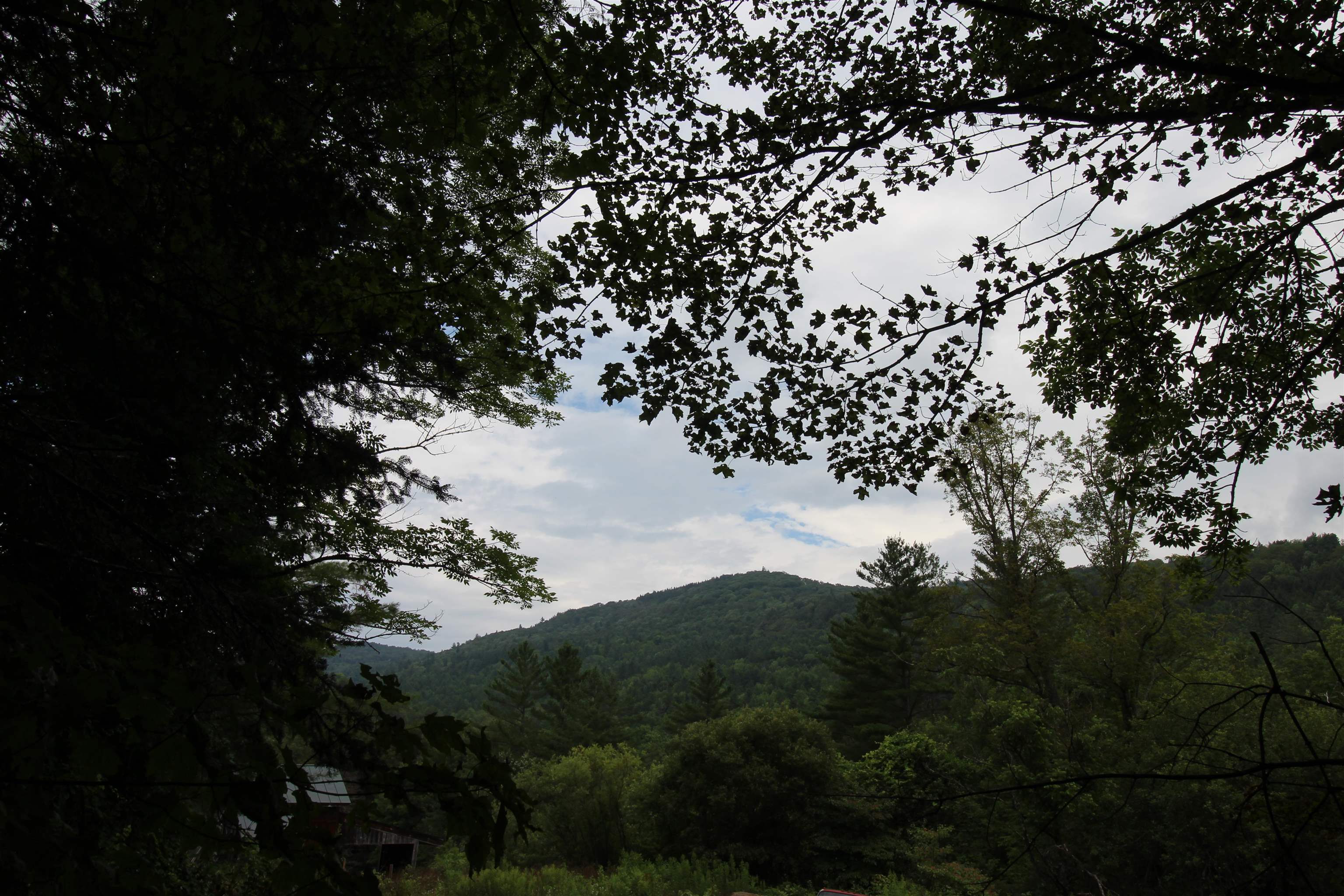 360 Liberty Hill Road Pittsfield, VT 05762 - Photo 8 of 36