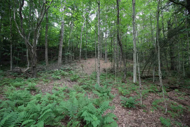 $80,000 | 360 Liberty Hill Road, Pittsfield, VT 05762