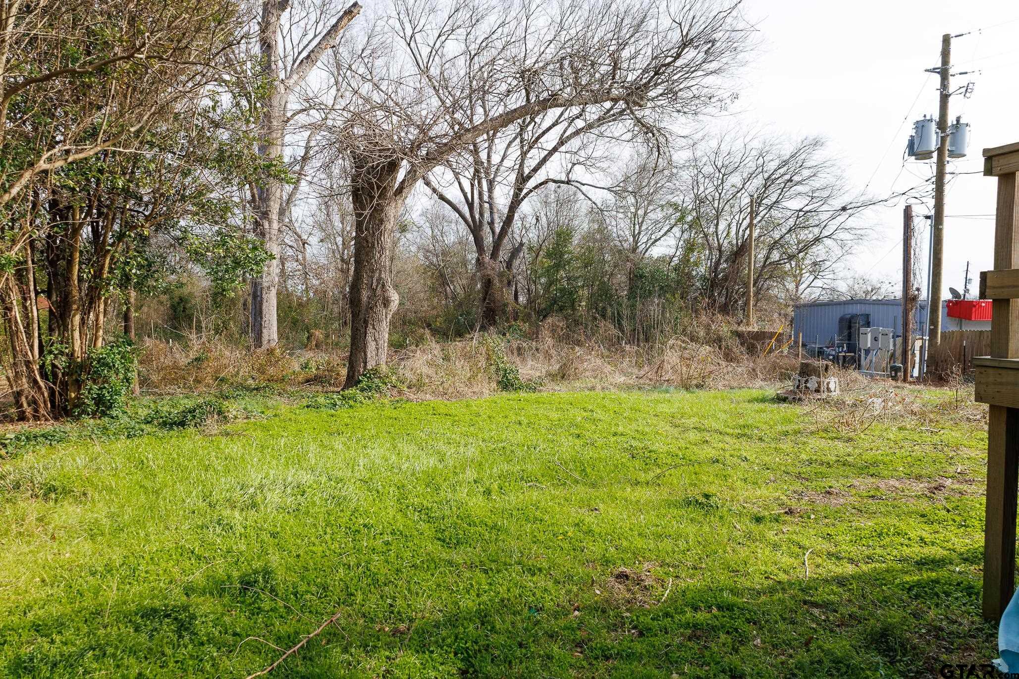 104 North Tyler Street Big Sandy, TX 75755 - Photo 37 of 38