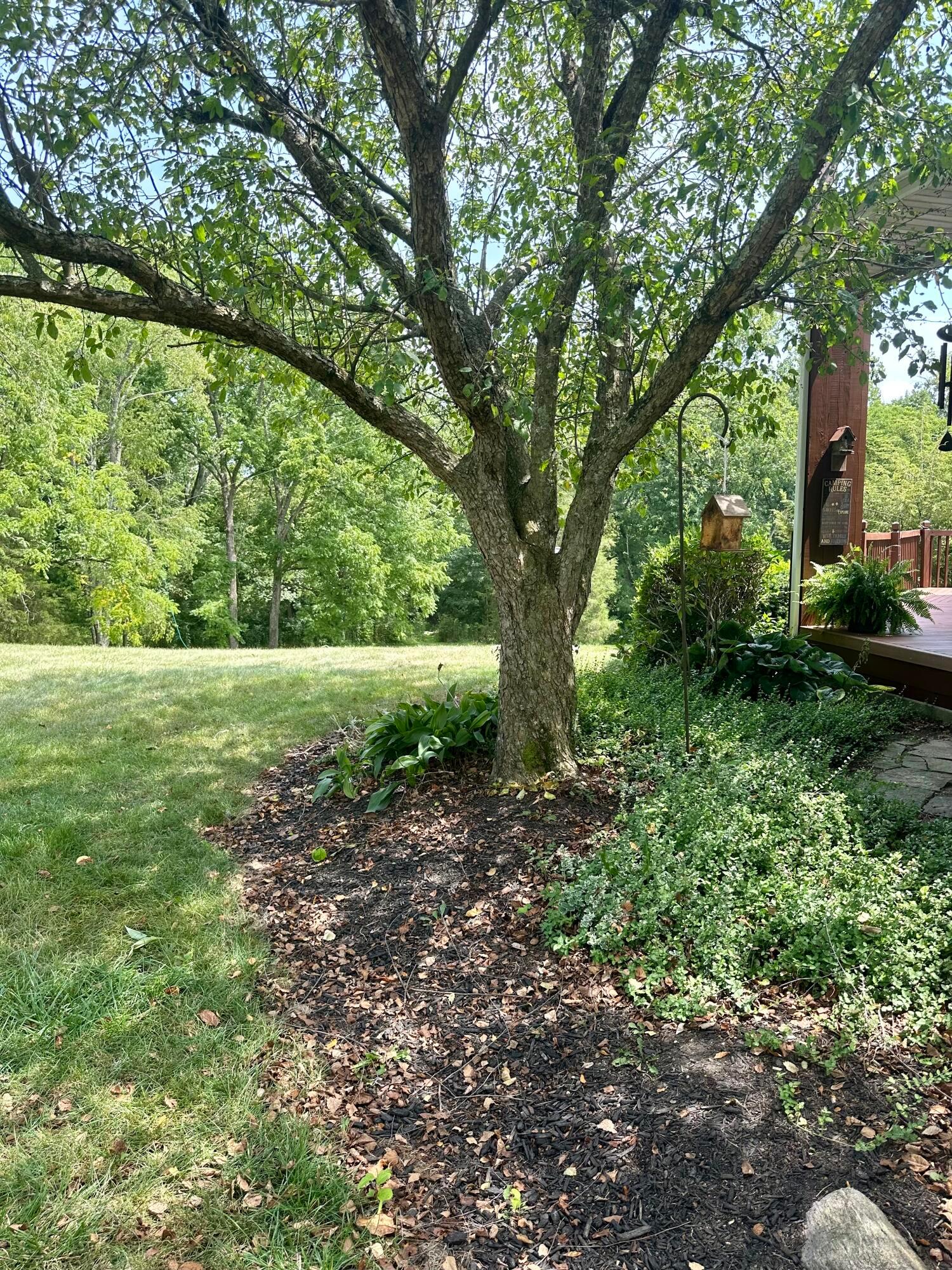 7540 Limes Road, Unit SE Greenfield, OH 45123 - Photo 55 of 66 IMG_7024
