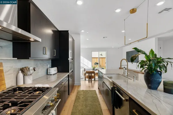 a kitchen with a stove and a potted plant