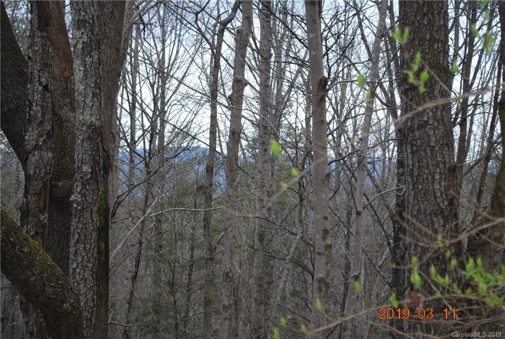 322 Gurley Road Marion, NC 28752 - Photo 4 of 35 Gallery Image 4