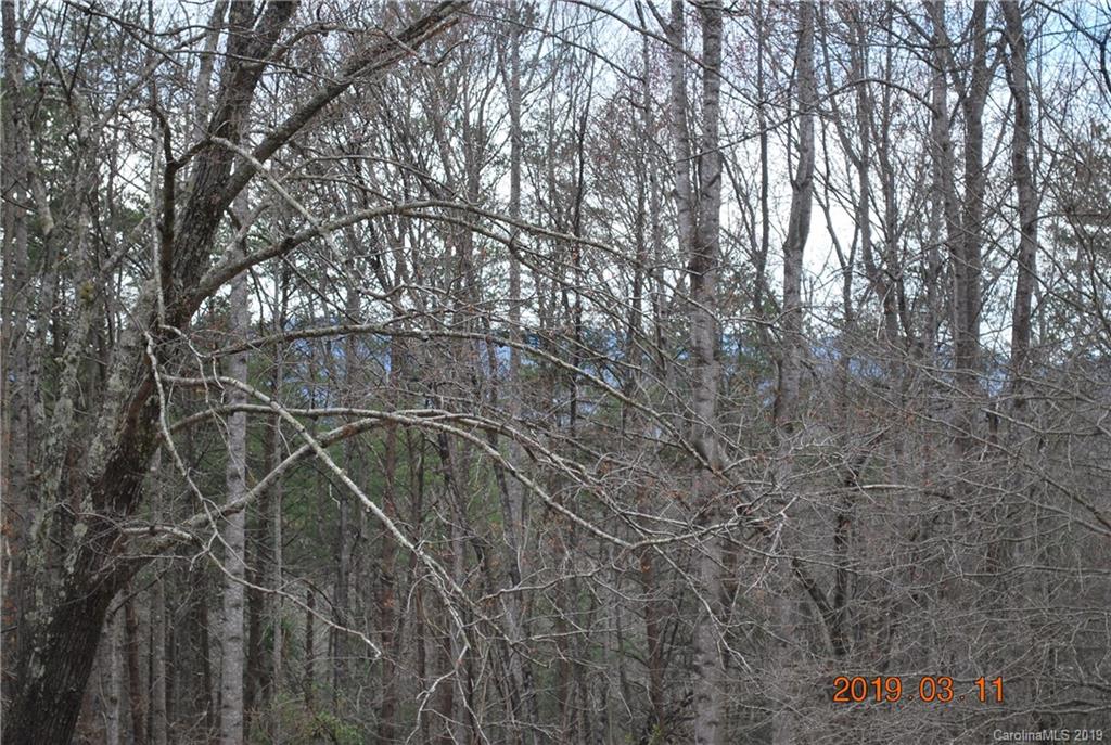 322 Gurley Road Marion, NC 28752 - Photo 32 of 35 Gallery Image 32