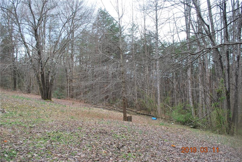 322 Gurley Road Marion, NC 28752 - Photo 5 of 35 Gallery Image 5