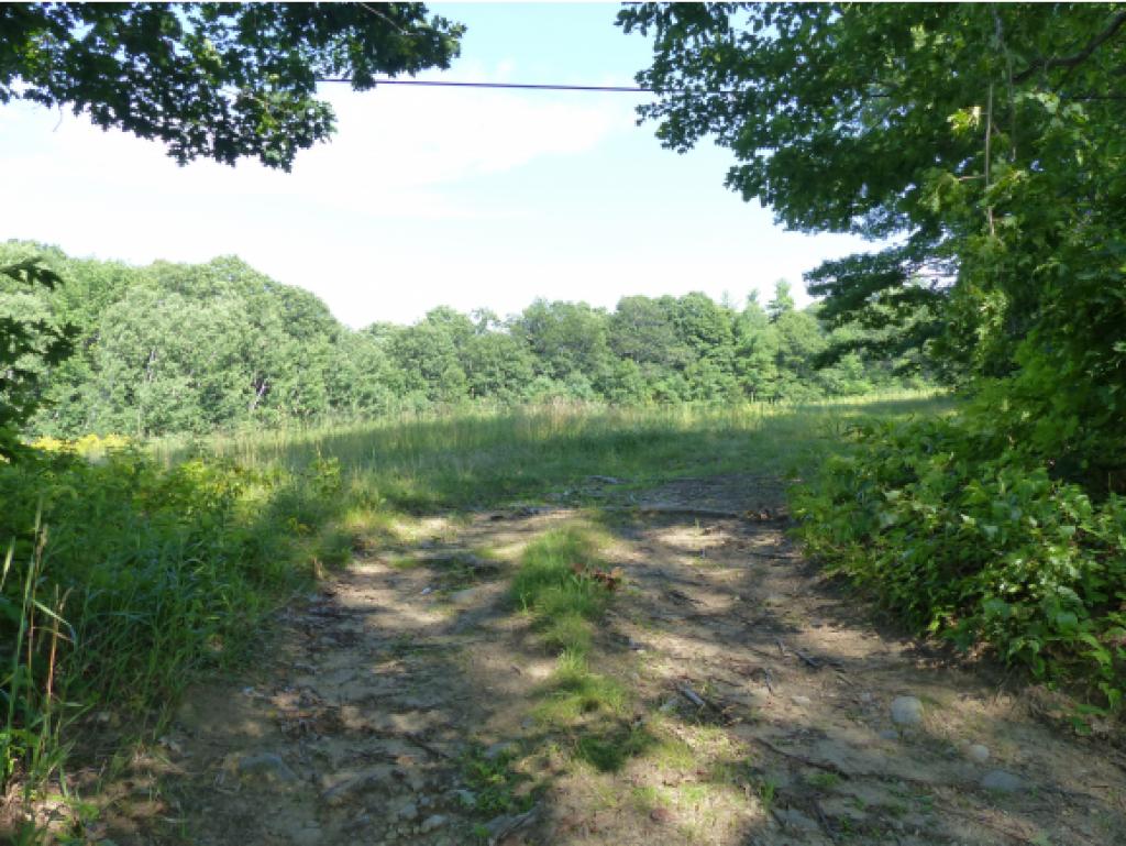 215-10.6 College Road Center Harbor, NH 03226 - Photo 2 of 35 Gallery Image 2
