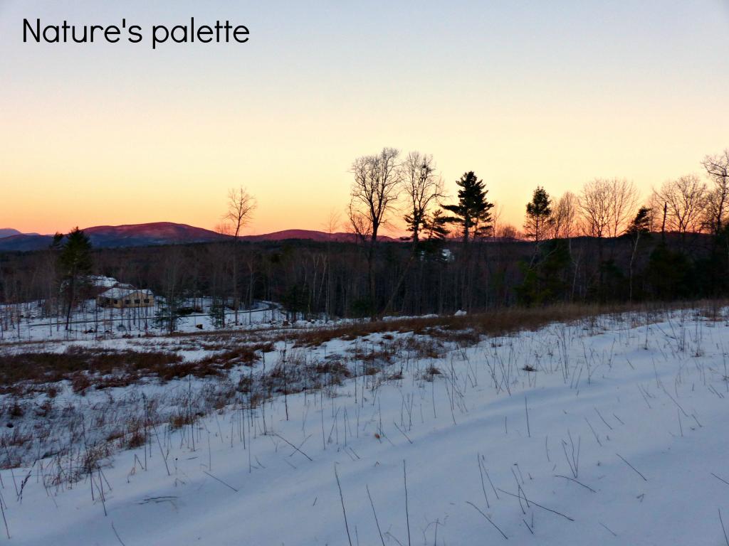 215-10.6 College Road Center Harbor, NH 03226 - Photo 11 of 35 Gallery Image 11