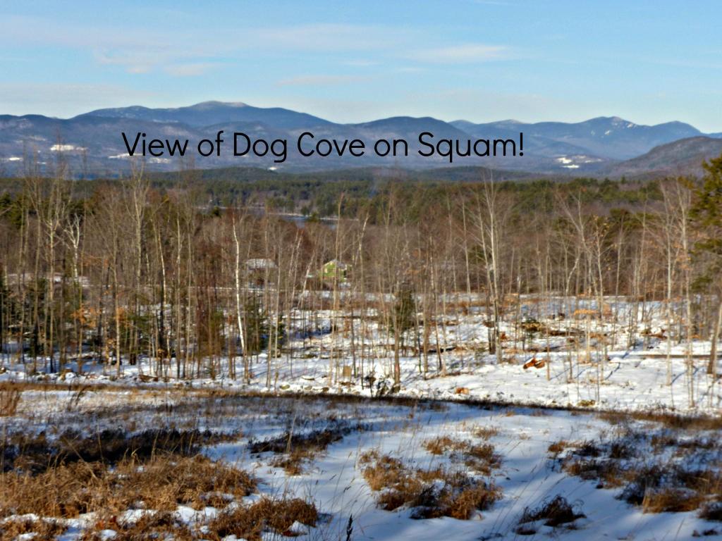 215-10.6 College Road Center Harbor, NH 03226 - Photo 12 of 35 Gallery Image 12