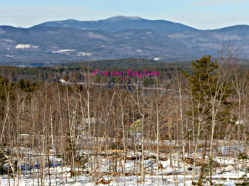215-10.6 College Road Center Harbor, NH 03226 - Photo 14 of 35 Gallery Image 14