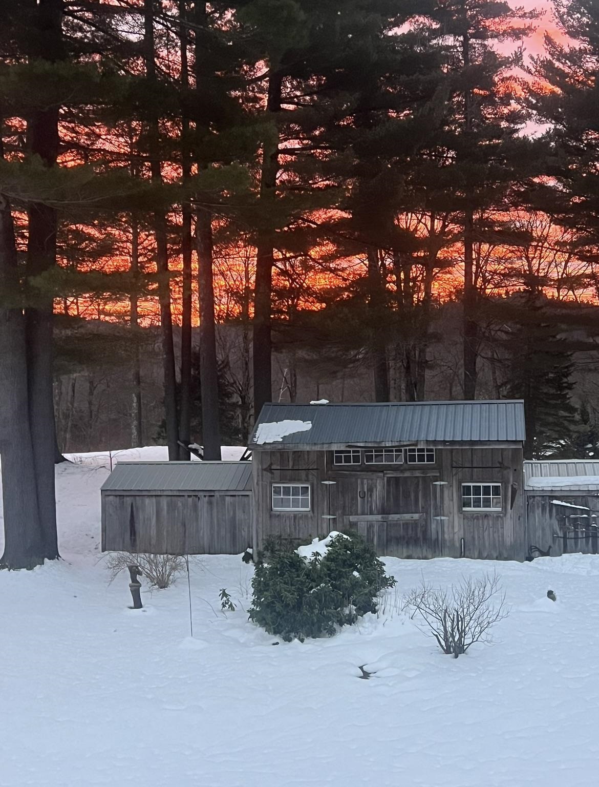 883 Smead Road Wardsboro, VT 05360 - Photo 35 of 43