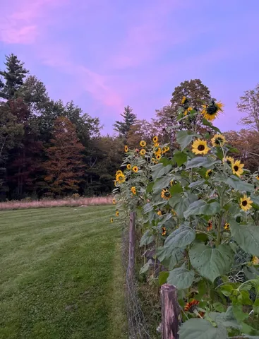 $619,900 | 883 Smead Road, Wardsboro, VT 05360