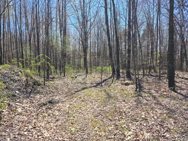 $126,000 | 0 Dunn Road, Horseheads, NY 14845