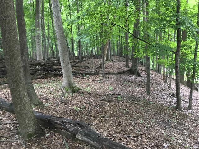 Edgewood Ln Green Green Bay, WI 54302 - Photo 2 of 9