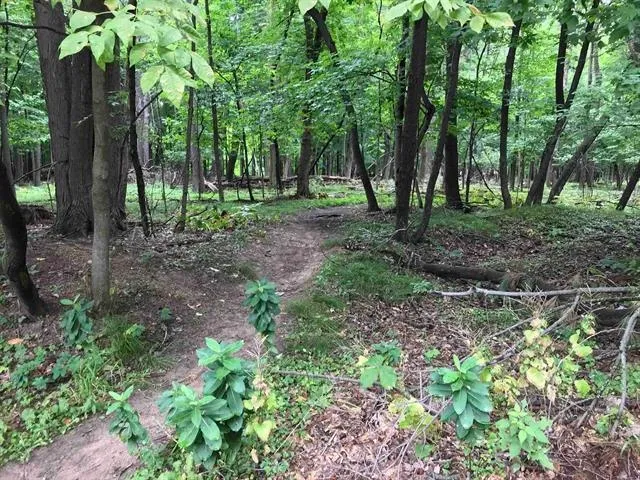 $329,900 | Edgewood Ln Green, Green Bay, WI 54302