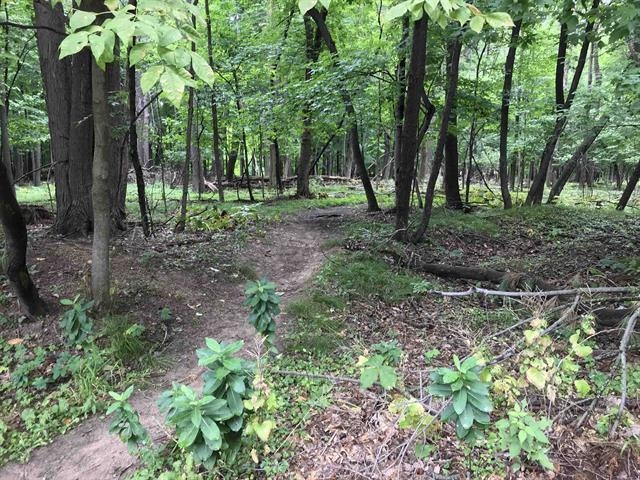 Edgewood Ln Green Green Bay, WI 54302 - Photo 4 of 9