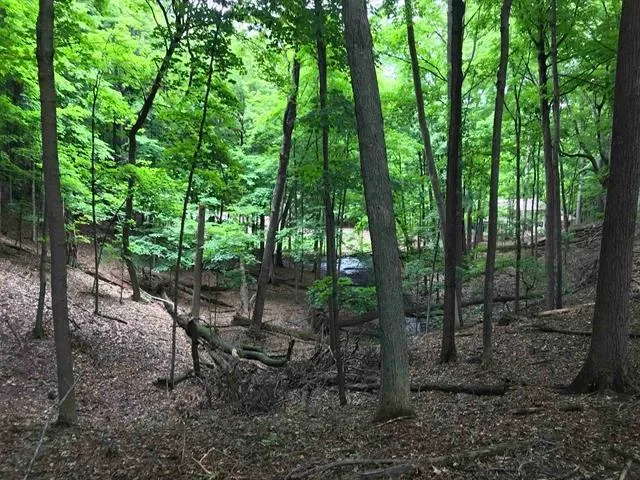 $329,900 | Edgewood Ln Green, Green Bay, WI 54302