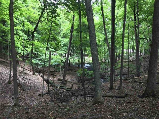 Edgewood Ln Green Green Bay, WI 54302 - Photo 5 of 9