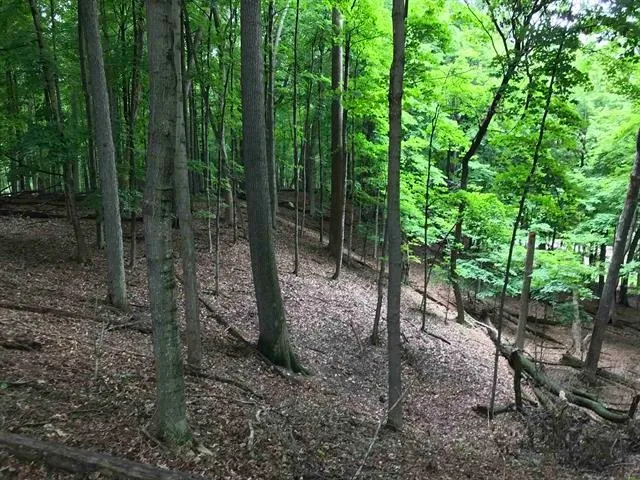 $329,900 | Edgewood Ln Green, Green Bay, WI 54302