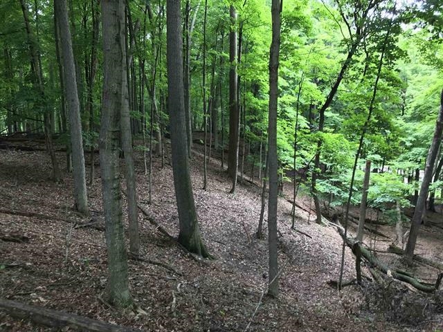 Edgewood Ln Green Green Bay, WI 54302 - Photo 6 of 9