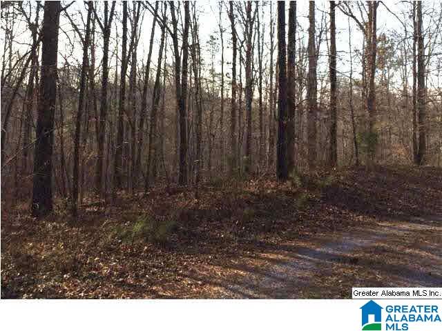 8681 Central Road Warrior, AL 35180 - Photo 22 of 31