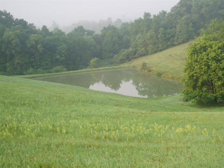 0 Neave Ridge Road Brooksville, KY 41004 - Photo 7 of 7 Gallery Image 7