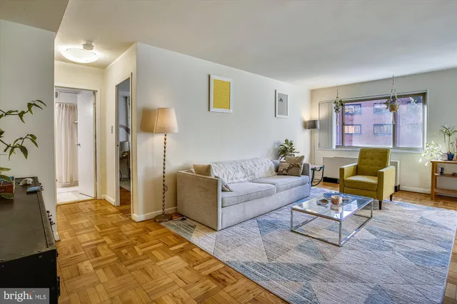 a living room with furniture and a rug