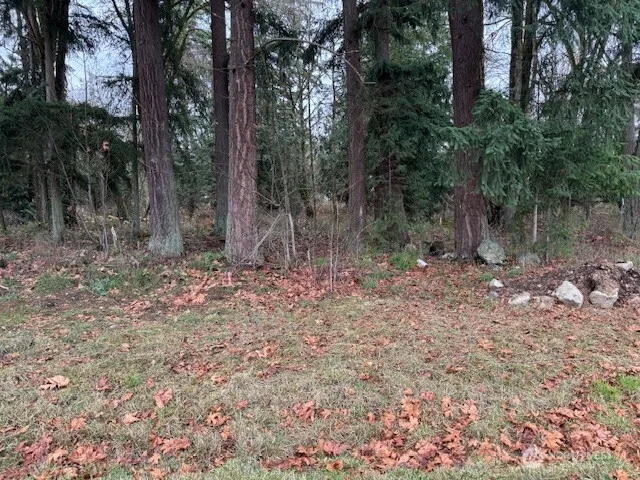 a view of outdoor space with trees