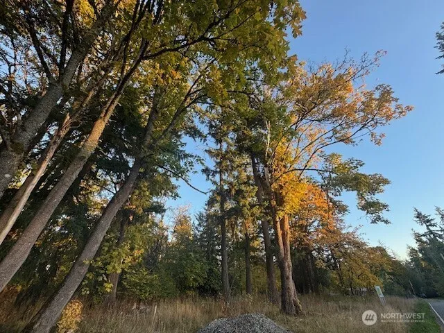 a view of outdoor space with trees