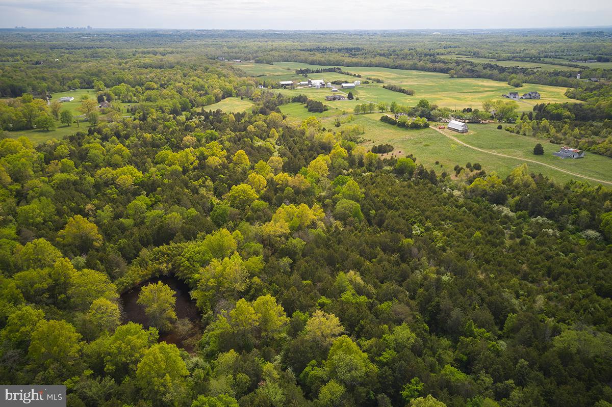 14710 Sugarland Road Poolesville, MD 20837 - Photo 11 of 21