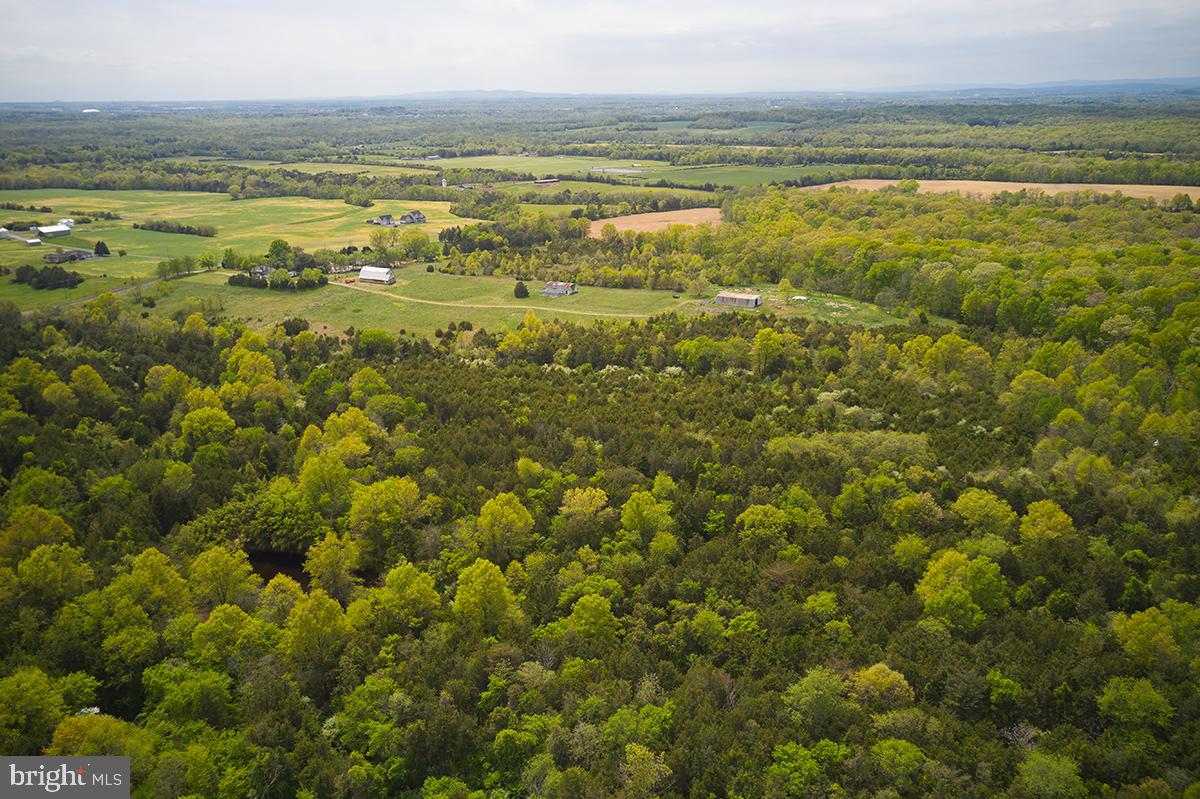 14710 Sugarland Road Poolesville, MD 20837 - Photo 14 of 21