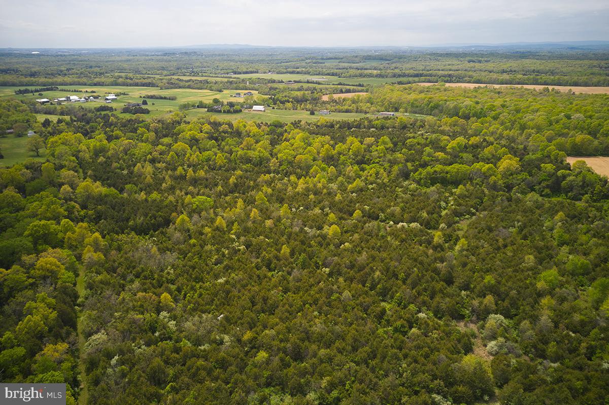 14710 Sugarland Road Poolesville, MD 20837 - Photo 15 of 21