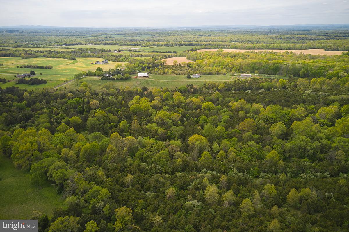 14710 Sugarland Road Poolesville, MD 20837 - Photo 16 of 21