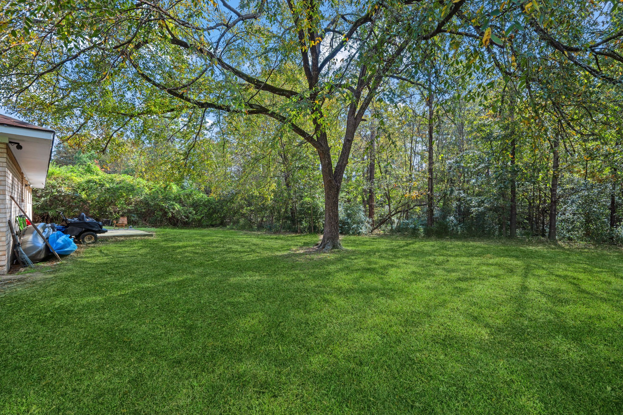 6470 Farm To Market Road 356 Trinity, TX 75862 - Photo 22 of 26 Property includes a portion in the back that is wooded. Survey will be needed to determine exact boundaries.