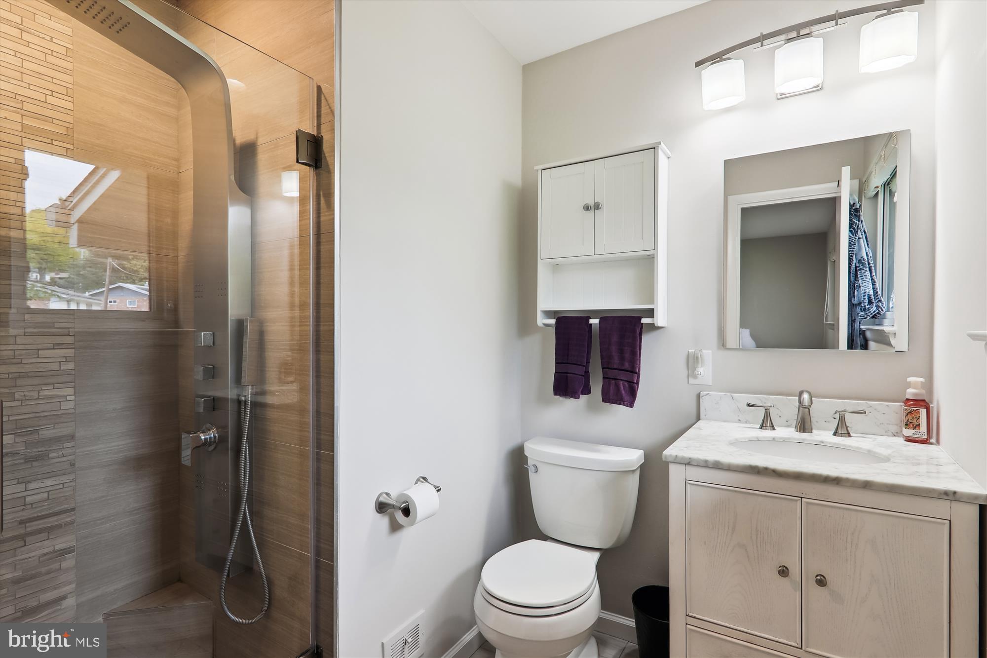 11804 Lovejoy Street Silver Spring, MD 20902 - Photo 30 of 45 a bathroom with a toilet sink shower and mirror