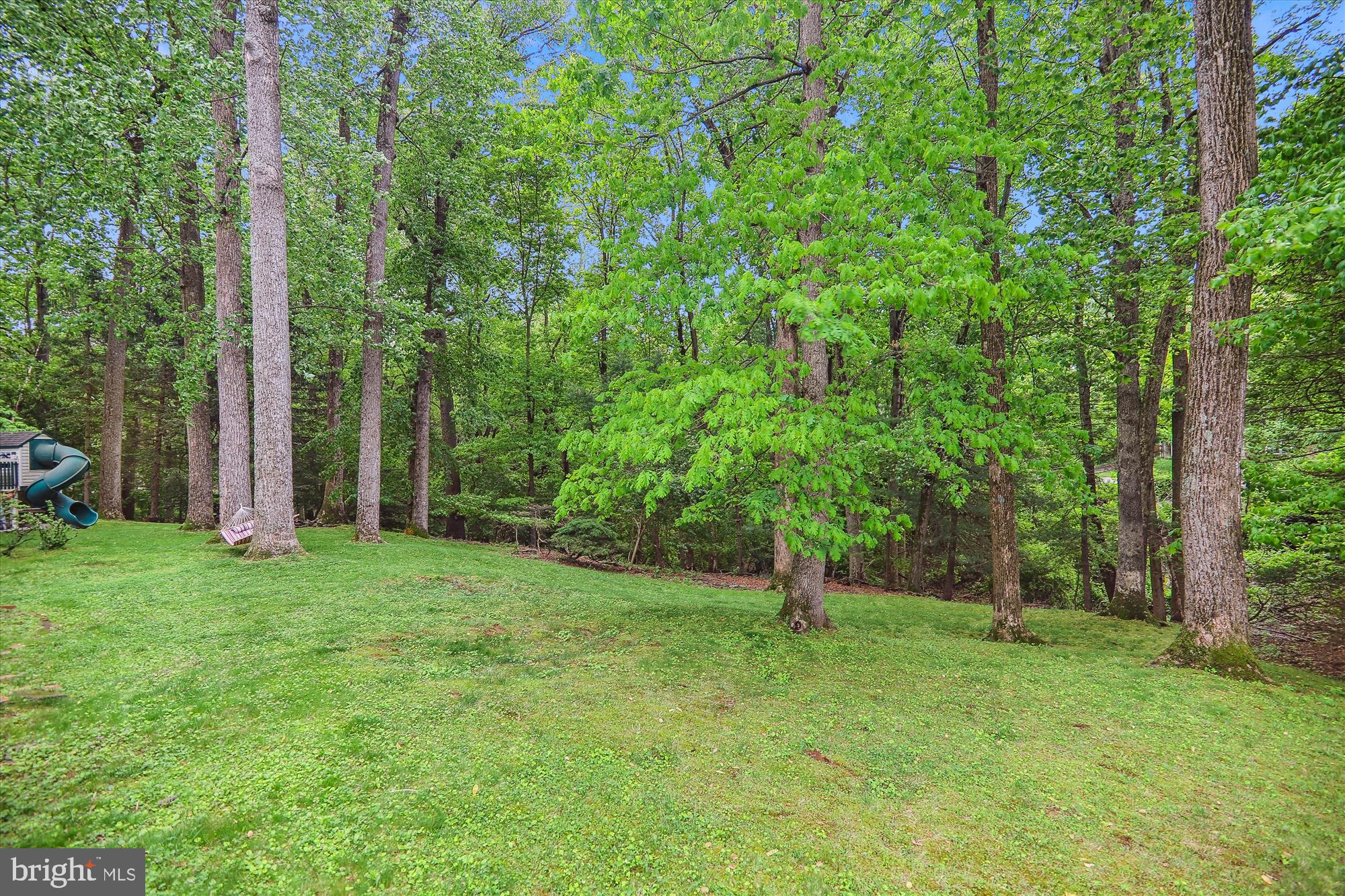 11804 Lovejoy Street Silver Spring, MD 20902 - Photo 44 of 45 a backyard of a house with plants and large trees