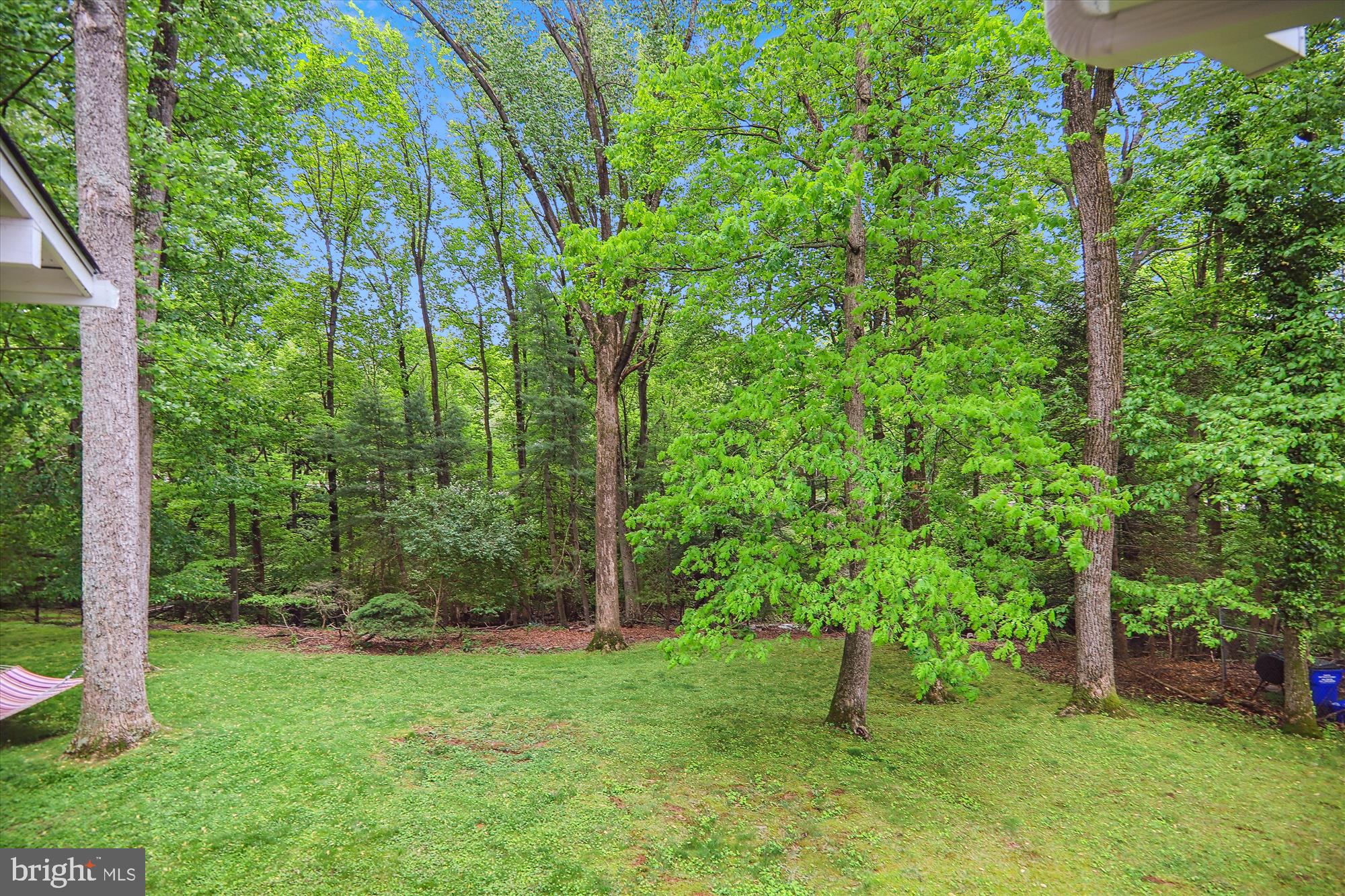 11804 Lovejoy Street Silver Spring, MD 20902 - Photo 45 of 45 a green field with lots of trees