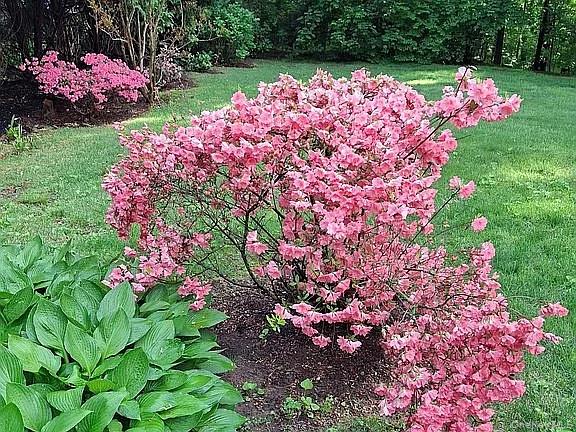 64 Alpine Road Yonkers, NY 10710 - Photo 2 of 20