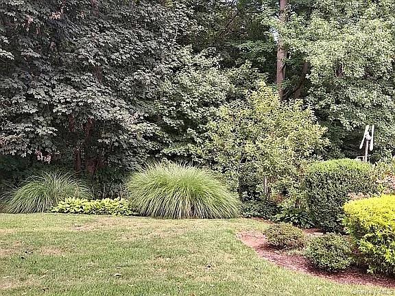 64 Alpine Road Yonkers, NY 10710 - Photo 6 of 20