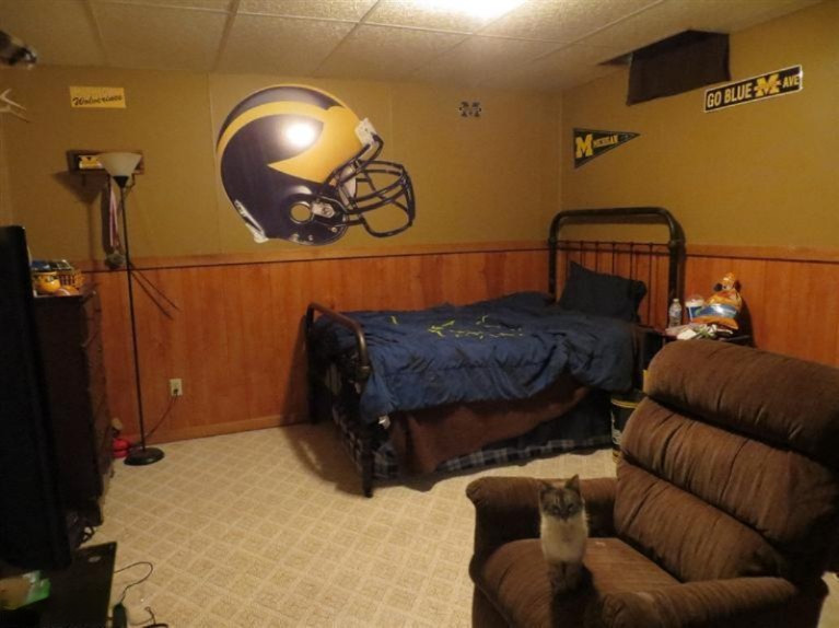 4243 Reynolds Road Delton, MI 49046 - Photo 20 of 24 Additional Photo