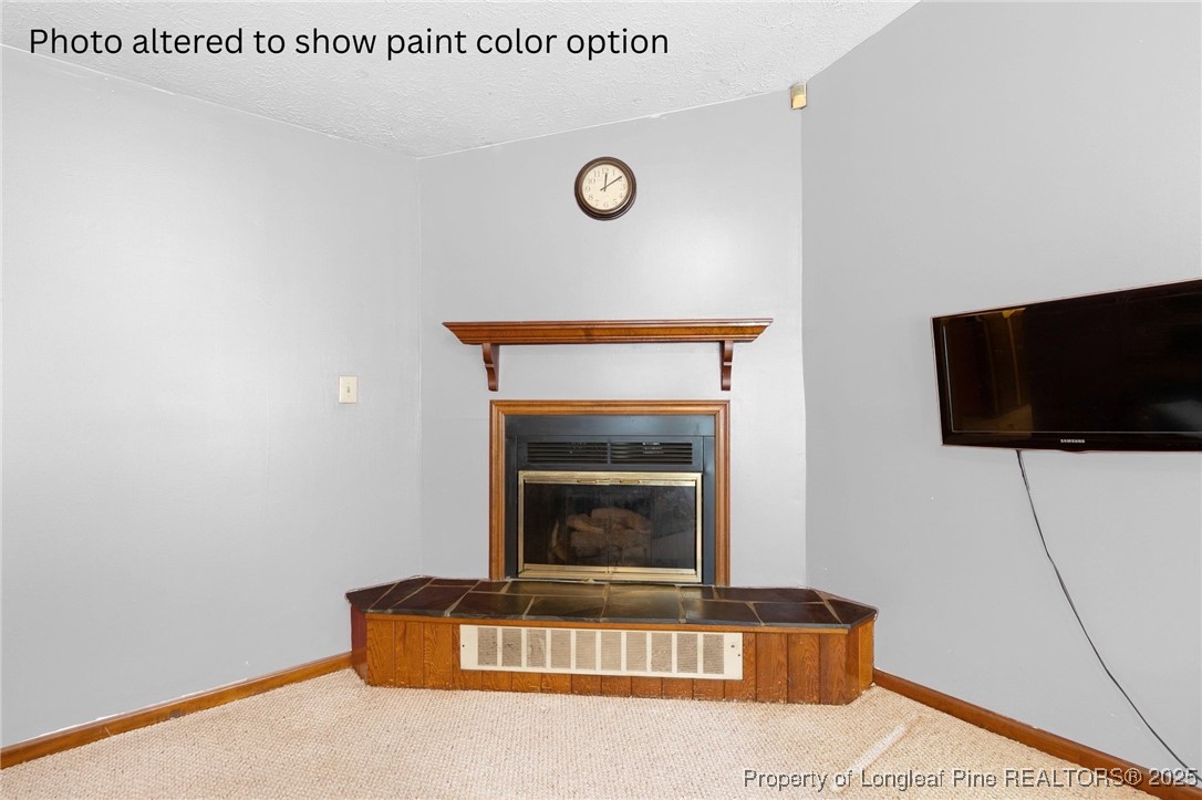 6104 Sisk Culbreth Road Godwin, NC 28344 - Photo 5 of 16 a living room with furniture a flat screen tv and a fireplace