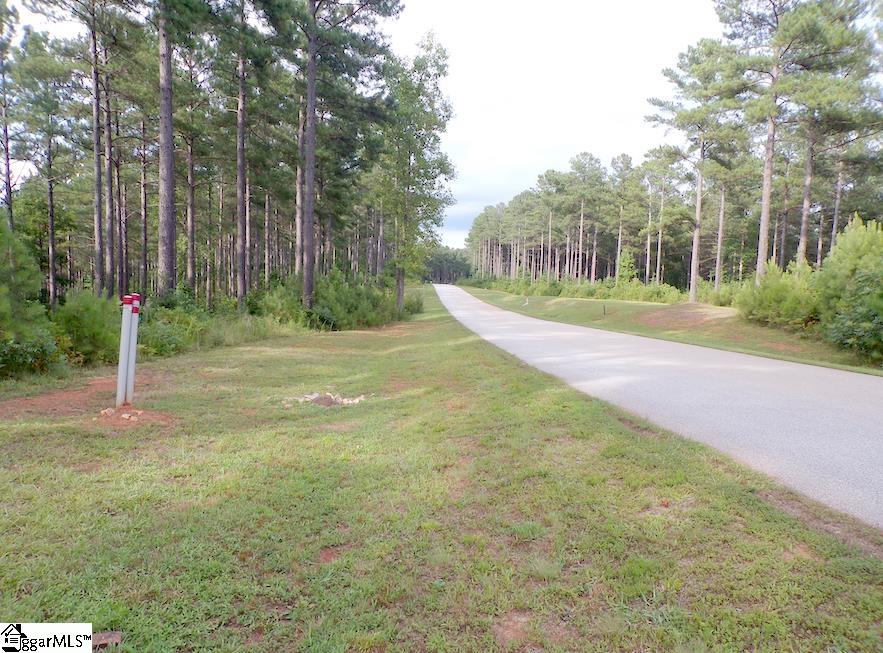 Ridge Road Salem, SC 29676 - Photo 3 of 6 Gallery Image 3