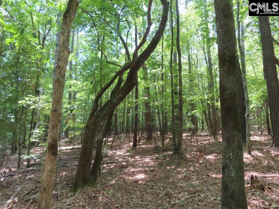 0 Park Road Ridgeway, SC 29130 - Photo 26 of 47