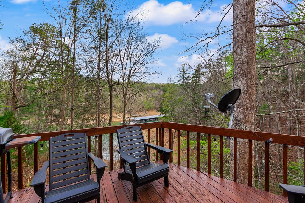 899 Lonesome Pine Road Murphy, NC 28906 - Photo 66 of 87
