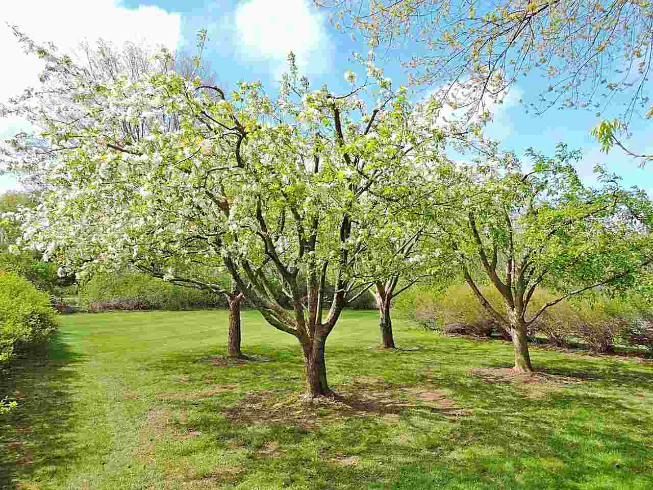 1355 Church Hill Road Charlotte, VT 05445 - Photo 39 of 40