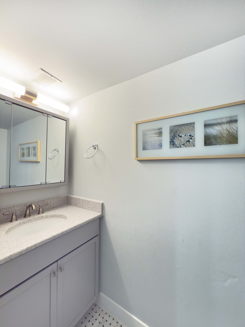 1331 South Finley Road, Unit 313 Lombard, IL 60148 - Photo 11 of 19 Gallery Image 11