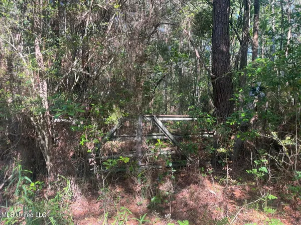 $48,500 | Martin Young Road, Moss Point, MS 39562