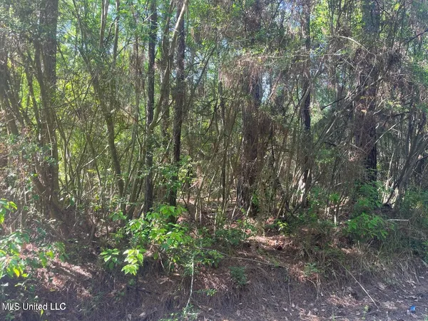 $48,500 | Martin Young Road, Moss Point, MS 39562