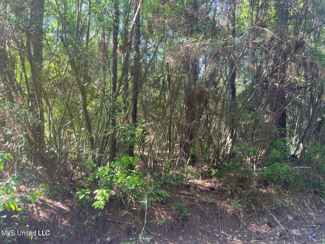 Martin Young Road Moss Point, MS 39562 - Photo 3 of 6 MY2