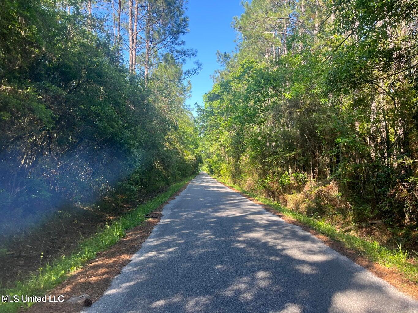 Martin Young Road Moss Point, MS 39562 - Photo 5 of 6 MY5